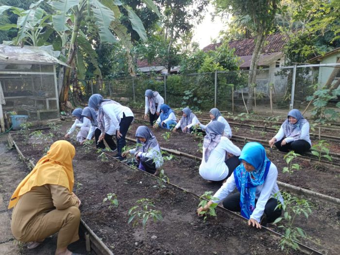 GERAKAN TANAM CABAI DAN SAYURAN SERENTAK  02