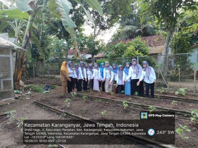 GERAKAN TANAM CABAI DAN SAYURAN SERENTAK 